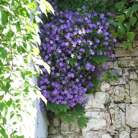 D'hôtes La Madeleine Vienne-le-Château
